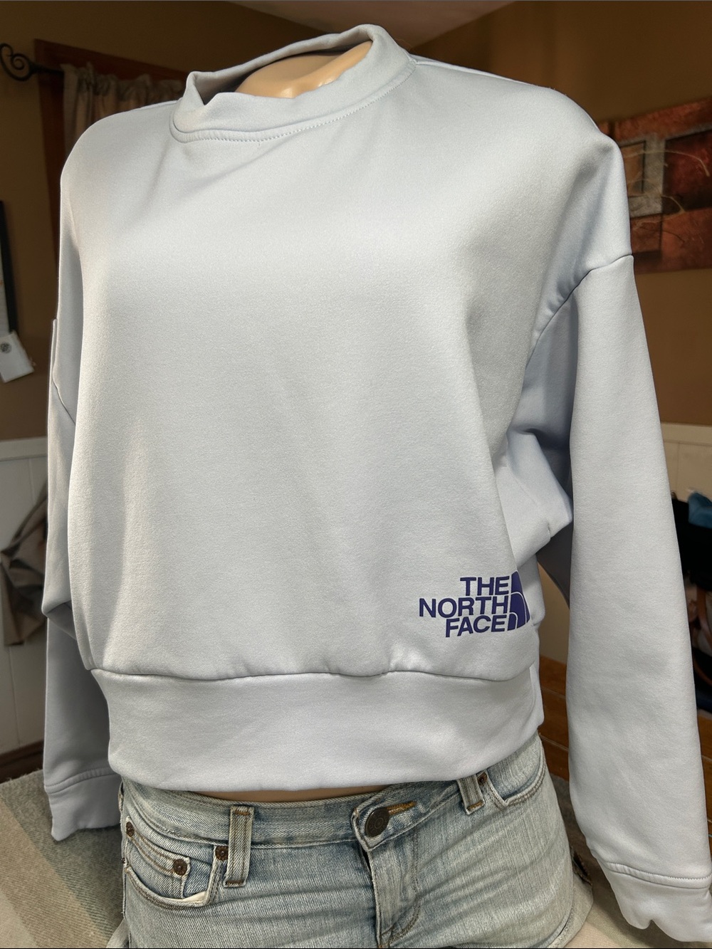 The North Face Pale Blue Cropped Crewneck Sweatshirt XS